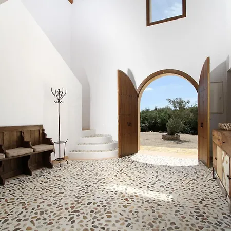 Olivo De La Roca * Pollensa