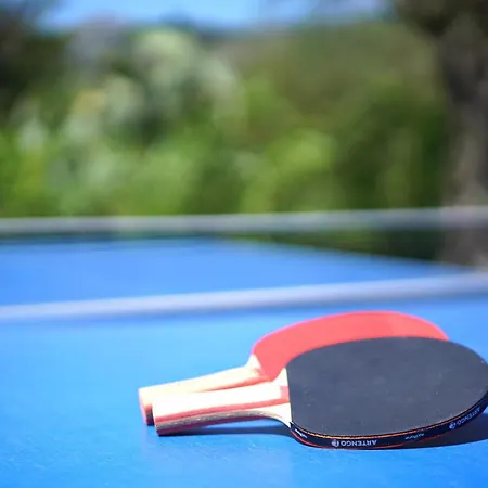 Olivo De La Roca Villa *