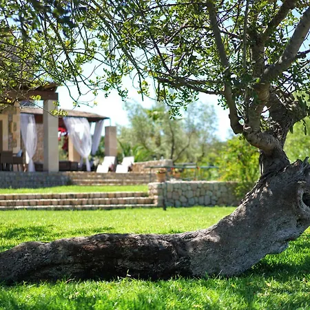 Villa Olivo De La Roca *