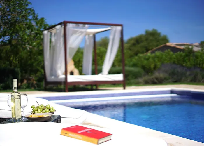 Olivo De La Roca * Pollensa