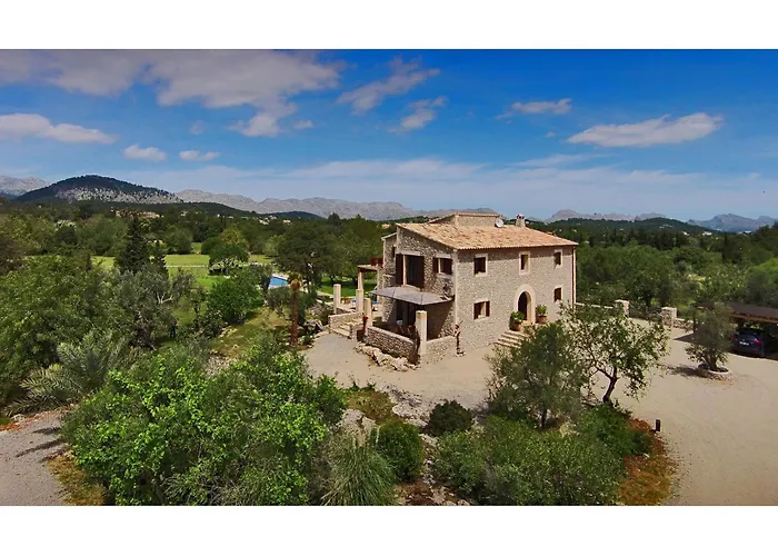 Olivo De La Roca Pollensa