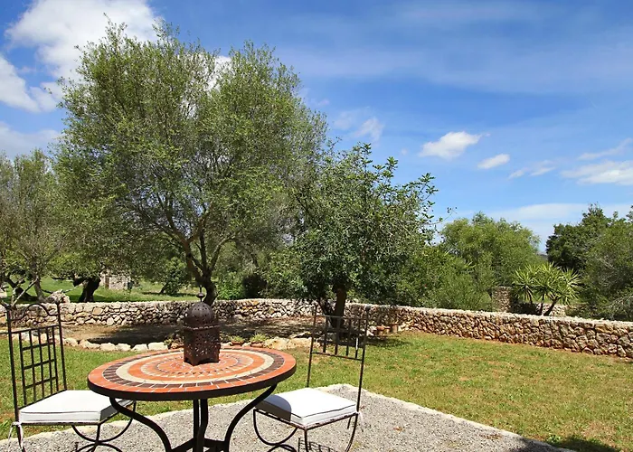 Olivo De La Roca Pollensa