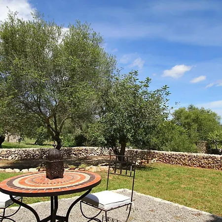 Olivo De La Roca Pollenca