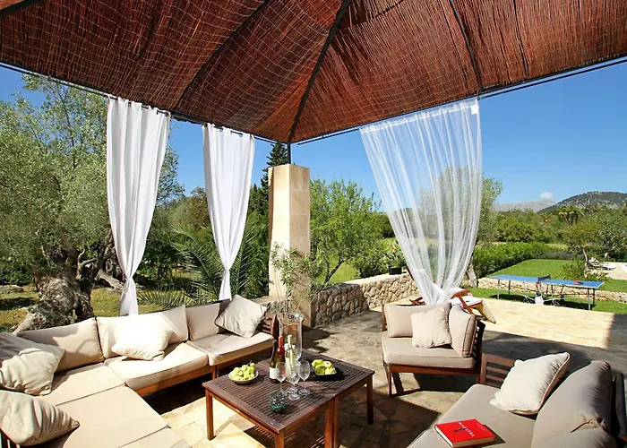 Olivo De La Roca Pollenca