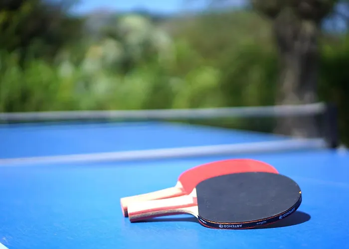 Olivo De La Roca Villa *