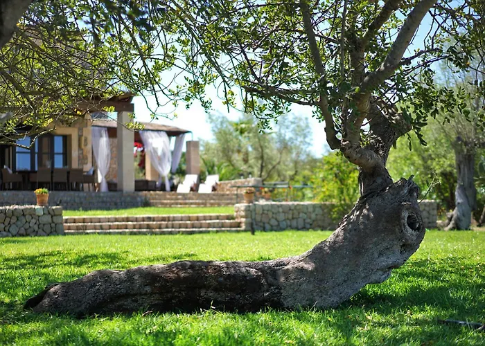 Villa Olivo De La Roca *