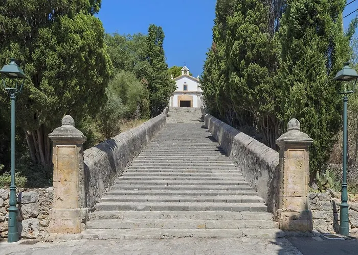 Olivo De La Roca * Pollenca