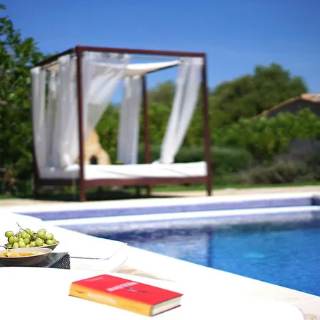 Olivo De La Roca * Pollensa