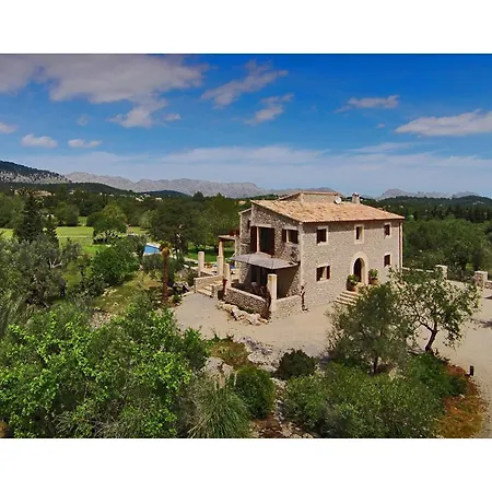 Olivo De La Roca Pollensa