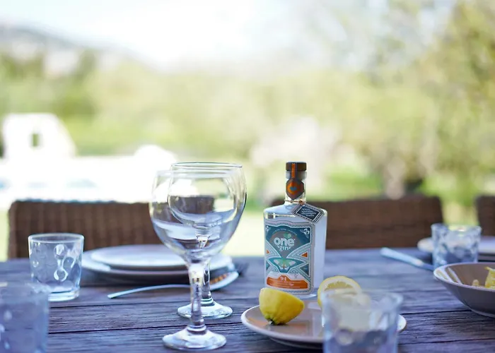 Villa Olivo De La Roca